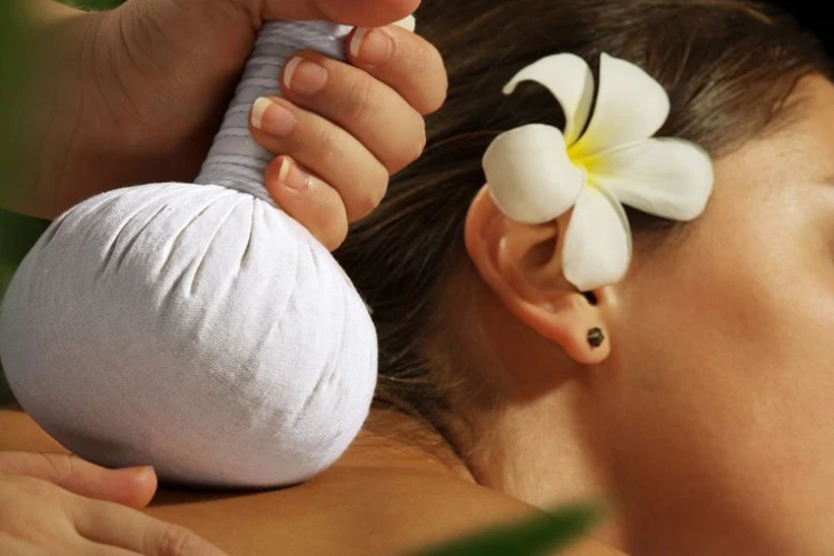 Why Ayurvedic Wellness Matters